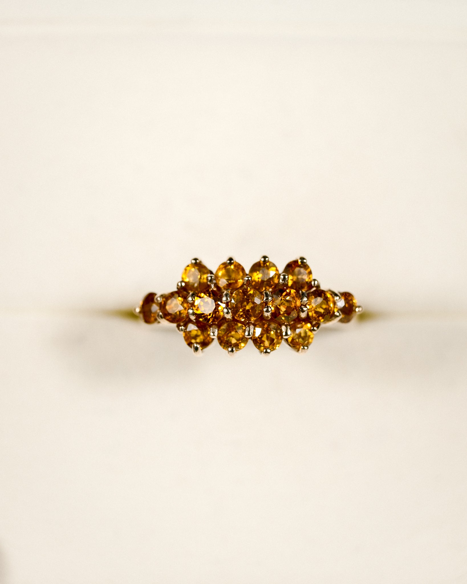 Rosalia • Vintage Citrien Cluster